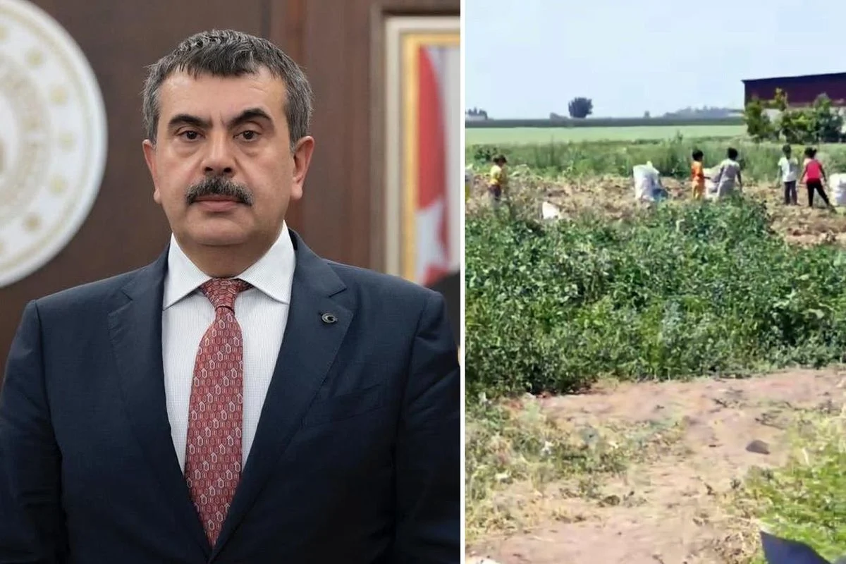 Hatay Kumlu’da vahim iddialar! Bakan Tekin’e çağrıda bulundular: Lütfen bu duruma el atın
